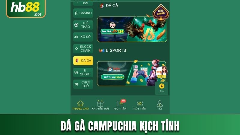 ĐÁ GÀ CAMPUCHIA HB88 - SIÊU PHẨM CHỌI KÊ KỊCH TÍNH NẢY LỬA 7 ĐÁ GÀ CAMPUCHIA