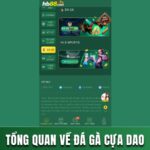 ĐÁ GÀ CỰA DAO - TRẢI NGHIỆM HÀNG LOẠT NHỮNG TRẬN ĐẤU HẤP DẪN 12 ĐÁ GÀ CỰA DAO