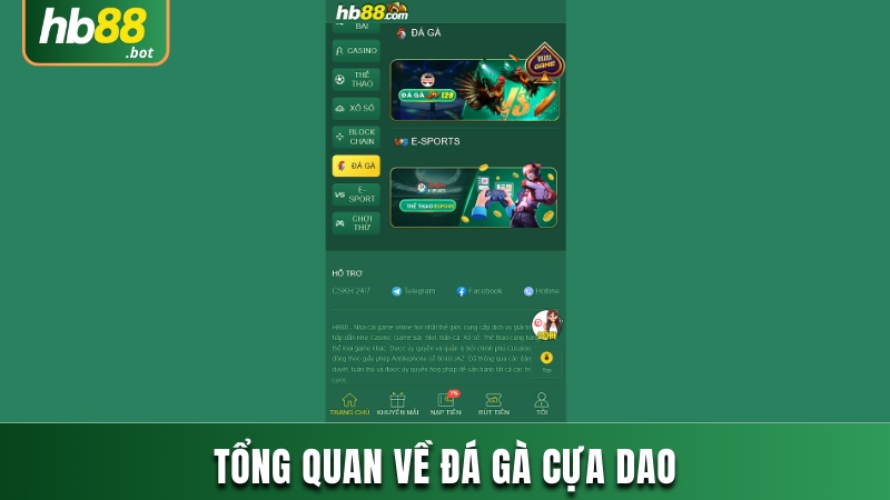 ĐÁ GÀ CỰA DAO - TRẢI NGHIỆM HÀNG LOẠT NHỮNG TRẬN ĐẤU HẤP DẪN 7 ĐÁ GÀ CỰA DAO