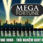 MEGA FORTUNE