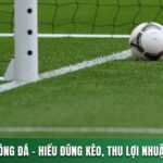 KÈO TÀI XỈU BÓNG ĐÁ - HIỂU ĐÚNG KÈO, THU LỢI NHUẬN XỨNG ĐÁNG 12 TÀI XỈU BÓNG ĐÁ