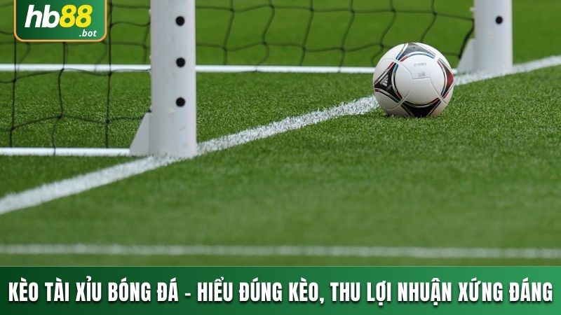 TÀI XỈU BÓNG ĐÁ